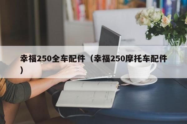 幸福250全车配件（幸福250摩托车配件）-第1张图片-williamhill官网-英国威廉希尔公司-欢迎您